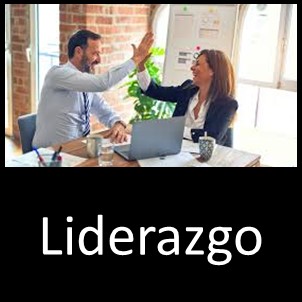 Liderazgo